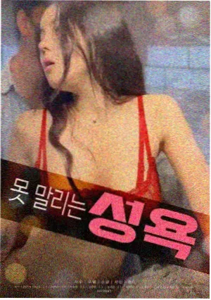 韩国电影有夫之妇配角叙事功能分析